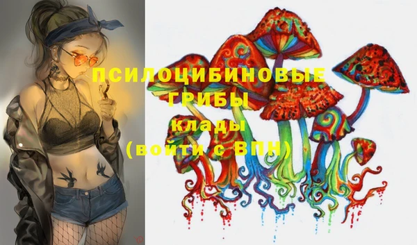 герыч Куйбышев