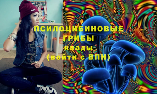 герыч Куйбышев