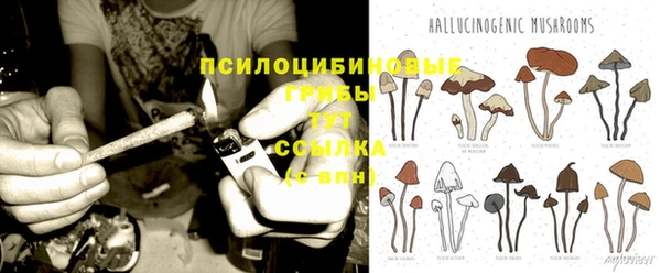 герыч Куйбышев